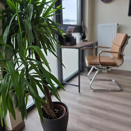 Duplex Moderne A 15 Mins Du Marche De Noel De Strasbourg *